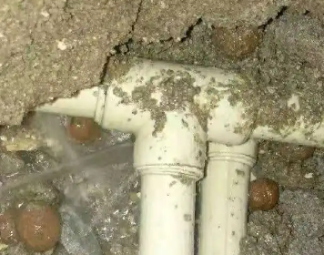 洛南测漏水多少钱