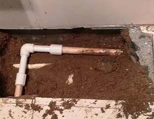 洛南测漏水哪家好