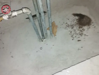 洛南卫生间测漏水价格明细