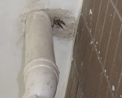 洛南漏水检测哪家好